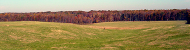 McLaws's Wedge