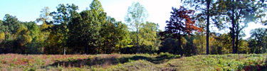 Earthworks in East Face of Salient
