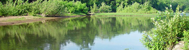 Ely's Ford