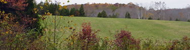 Higgerson Farm