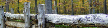 Reconstructed logworks