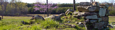 Foundation of Harrison House