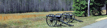 Cannon in Doles's Salient