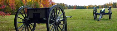 Cannon in Tapp Field