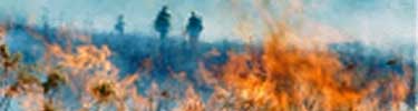 Control burn at Spotsylvania Battlefield