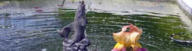 Chatham Fish Pond