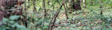 Woodlands of Fredericksburg & Spotsylvania NMP