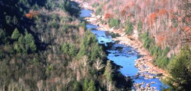 View of the Gauley River Canyon