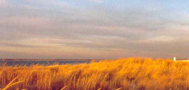 Marshes are alive with color at sundown at Gateway's Breezy Point.