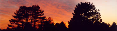 Winter sunset at Floyd Bennett Field