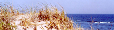 The pristine dunes and beach at Fort Tilden in Spring.
