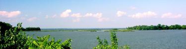 Longwood marsh at George Washington Birthplace