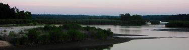Longwood Marsh in Popes Creek