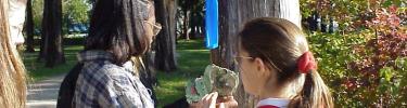 Students Identify Tree