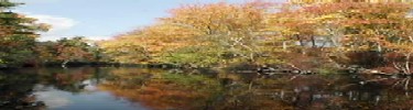 The Scenic Great Egg Harbor River