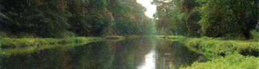Tohickon