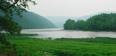 New River Riparian Zone