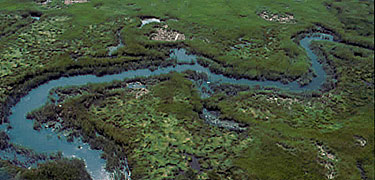 Jamaica Bay Wildlife Refuge, the largest continuous open space in New York City, is home to saltwater marshes