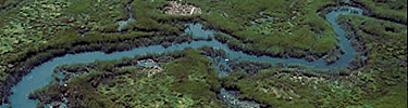 Jamaica Bay Wildlife Refuge, the largest continuous open space in New York City, is home to saltwater marshes