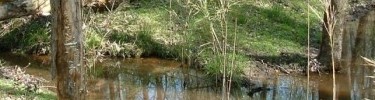 Harrison Creek