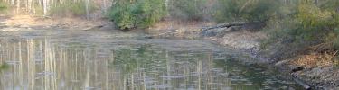 Pond off of Attack Road Trail