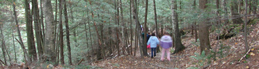 Children on the Ravine Trail