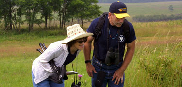 A man and women search the meadow for butterflies during Shenandoah's Annual Butterfly Count.