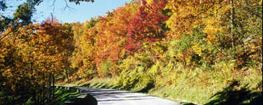 Brilliant fall colors surround Skyline Drive.