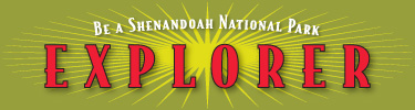Ranger Explorer logo