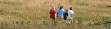 Visitors explore a trail through Big Meadows.