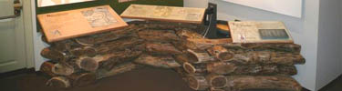 Photo of logs