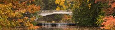 White Bridge during Autumn