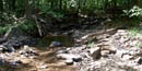 Blair Gap Run stream in woods