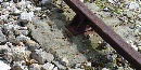 Railroad track attached to a 'sleeper'