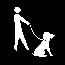 Be aware of pet regulations on Assateague.