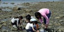 Tidal Pools Scavenger Hunt