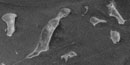 Satellite Imagery of Boston Harbor Seafloor and Islands