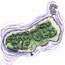 Grape Island Map