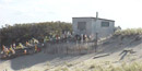 Dune shack in the Peaked Hill Bars Historic District
