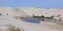 seasonal freshwater wetlands in the Province Lands