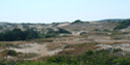 The Province Lands, Provincetown, MA
