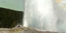 Old Faithful geyser erupting