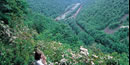 Scenic vista above the Lehigh Gorge