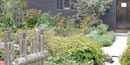Whipple House Museum Garden in Ipswich Massachusetts