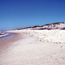 White sandy shoreline with profile of dunes on a summer beach face.