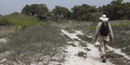 Hike in light clothing walks down sandy trail through dense shrubs.