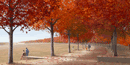 Artist rendering of Memorial walkway