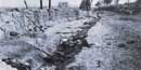 Photo of dead in Sunken Road during Battle of 2nd Fredericksburg