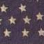 American Flag