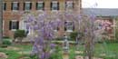 Chatham Gardens